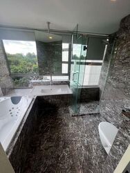 Suites @ Cairnhill (D9), Apartment #497309521